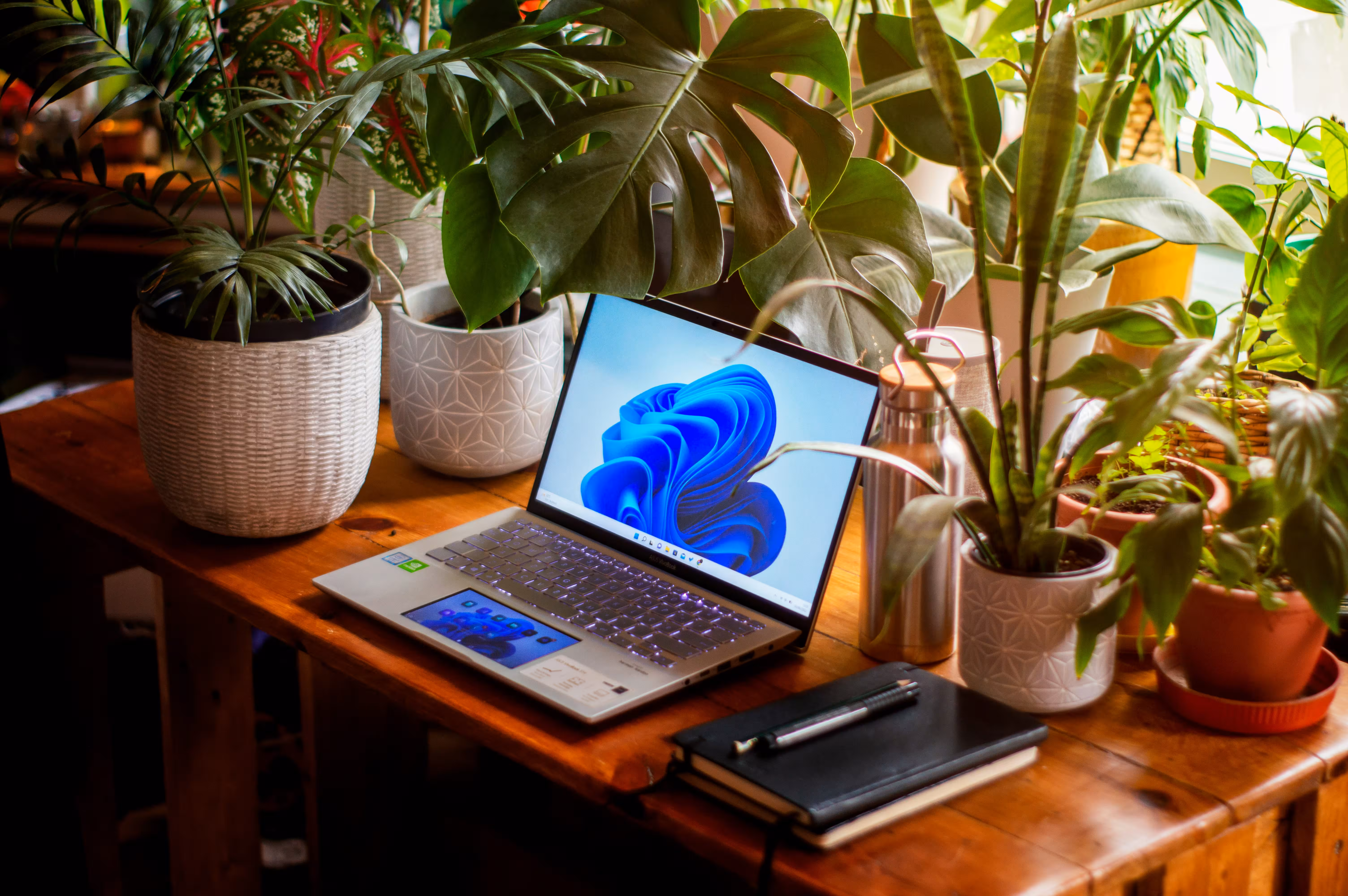 ASUS Vivobook S14 (S3407) огляд 2026: тести, характеристики та реальний досвід