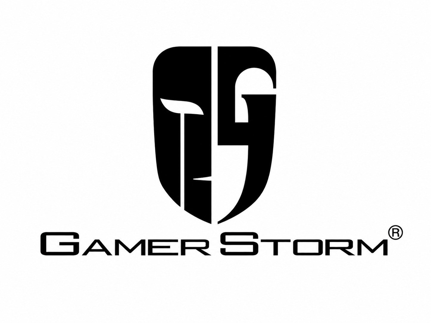 Gamer Storm