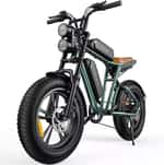 Електровелосипед фетбайк Engwe M20 Dual Batteries (1000 Вт, 26 А/год, 48 В), колеса 20, зелений
