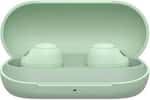 Наушники TWS Sony WF-C700N в цвете шалфей (WFC700NG.CE7)