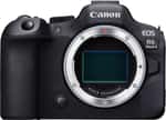Canon EOS R6 Mark II Body Black (5666C031)