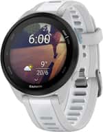 Смарт-часы Garmin Forerunner 165 Mist Gray/Whitestone (010-02863-21/A1/AD)