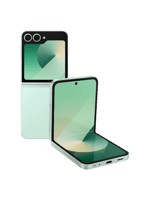 Смартфон Samsung Galaxy Flip6 12/256GB Mint (SM-F741BLGG)
