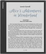 Електронна книга з підсвічуванням PocketBook 1042 InkPad Eo Mist Grey (PB1042-M-CIS, PB1042-M-WW)