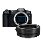 Бездзеркальний фотоапарат Canon EOS R8 Body + Mount Adapter EF-EOS R