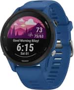 Смарт-годинник Garmin Forerunner 255 Tidal Blue (010-02641-01/11)