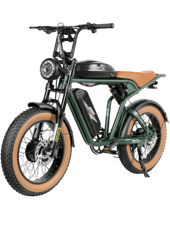 Електровелосипед SAMEBIKE M20 III (2000 Вт; 36 А*год; 48 В) 20" зелений — фото 1