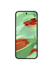 Смартфон Google Pixel 9 12/128GB Wintergreen — фото 2